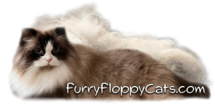 furry floppy cats logo